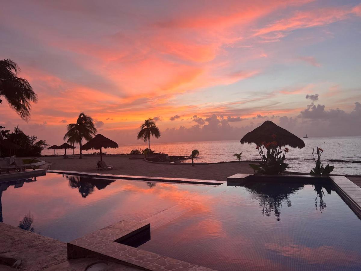 The Queen Of Cozumel Beach House -Luxury Beachfront Villa- Million Dollars View Exteriör bild