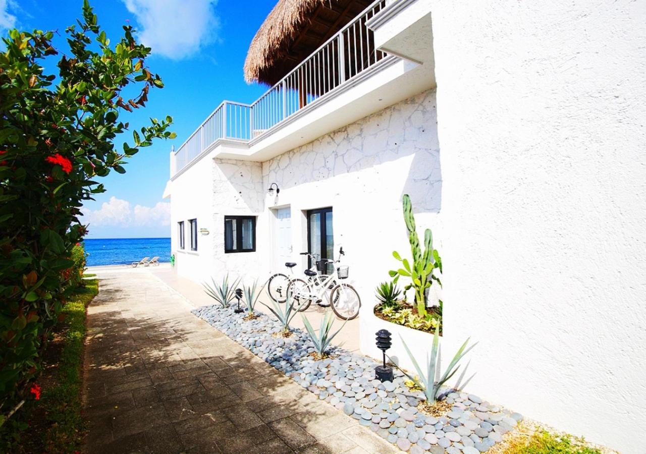 The Queen Of Cozumel Beach House -Luxury Beachfront Villa- Million Dollars View Exteriör bild